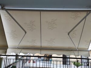 283810421_315855287247042_854655290207298973_n