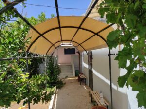 314419216_1182979165932947_3573036849500808903_n