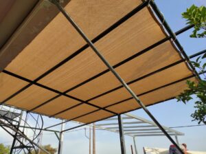 314606734_659383885800265_4838333418676901389_n